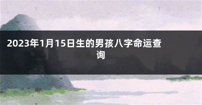 2023年1月15日生的男孩八字命运查询