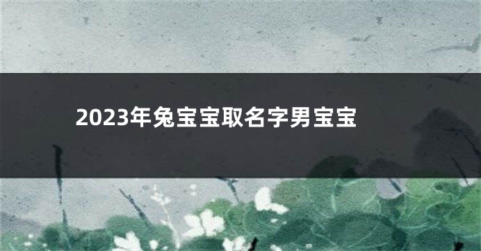 2023年兔宝宝取名字男宝宝