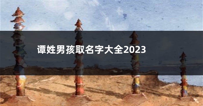 谭姓男孩取名字大全2023