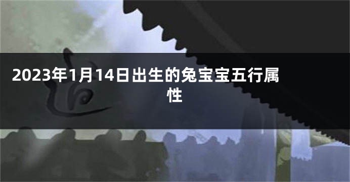 2023年1月14日出生的兔宝宝五行属性