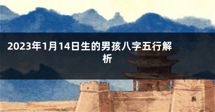 2023年1月14日生的男孩八字五行解析