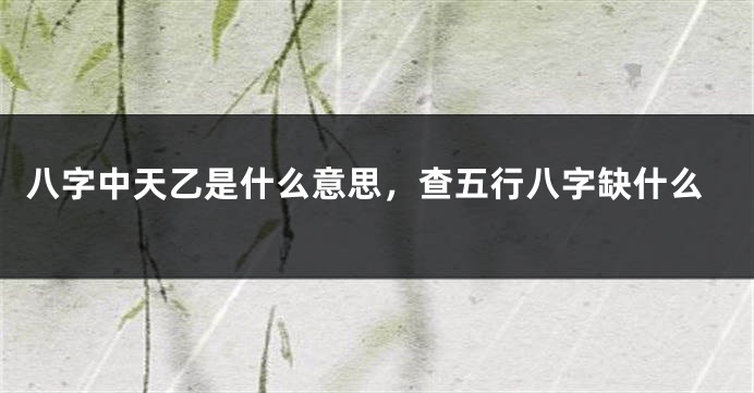 八字中天乙是什么意思，查五行八字缺什么