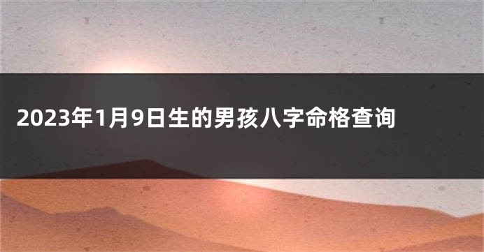 2023年1月9日生的男孩八字命格查询