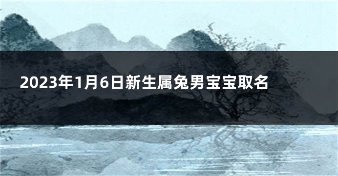 2023年1月6日新生属兔男宝宝取名