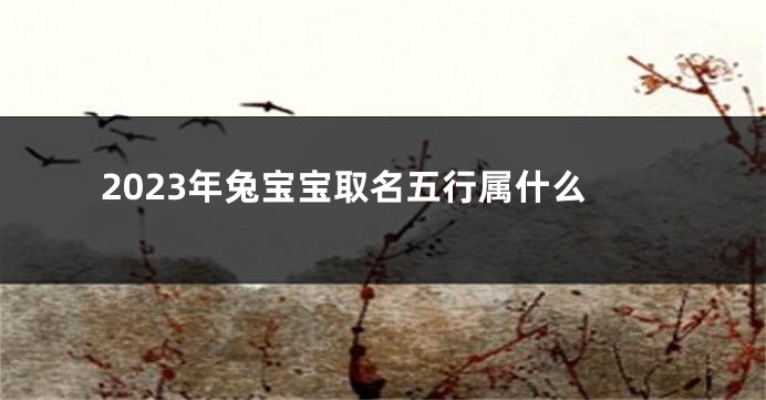 2023年兔宝宝取名五行属什么