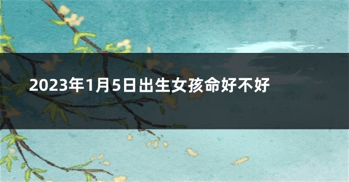 2023年1月5日出生女孩命好不好