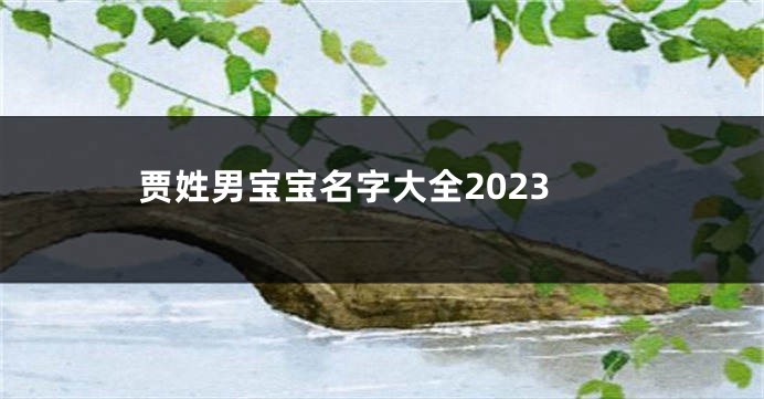 贾姓男宝宝名字大全2023