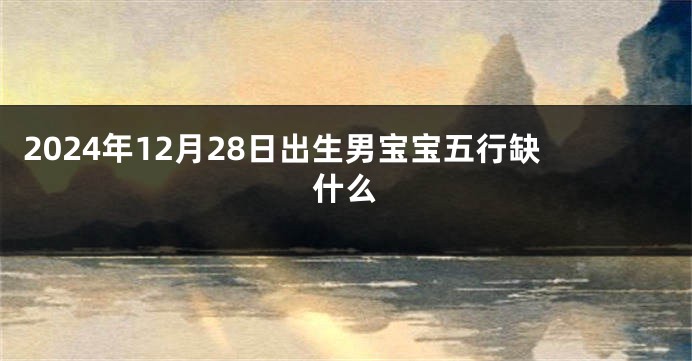 2024年12月28日出生男宝宝五行缺什么