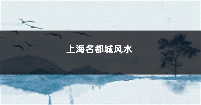 上海名都城风水