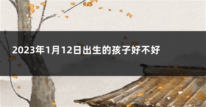 2023年1月12日出生的孩子好不好