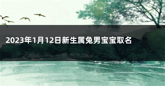 2023年1月12日新生属兔男宝宝取名