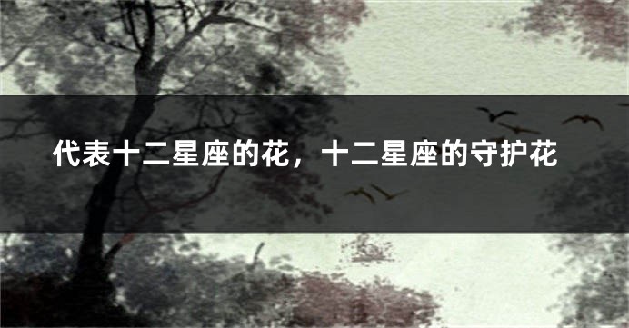 代表十二星座的花，十二星座的守护花
