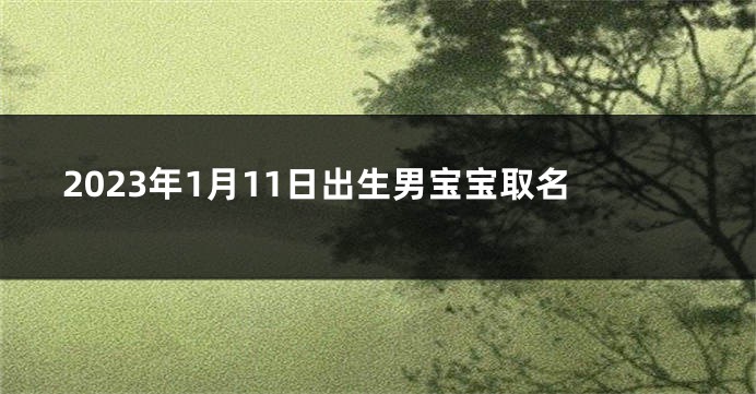 2023年1月11日出生男宝宝取名