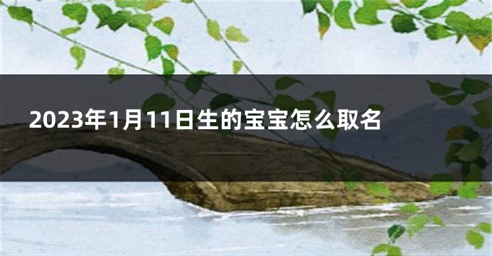 2023年1月11日生的宝宝怎么取名