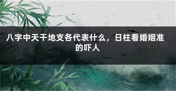 八字中天干地支各代表什么，日柱看婚姻准的吓人