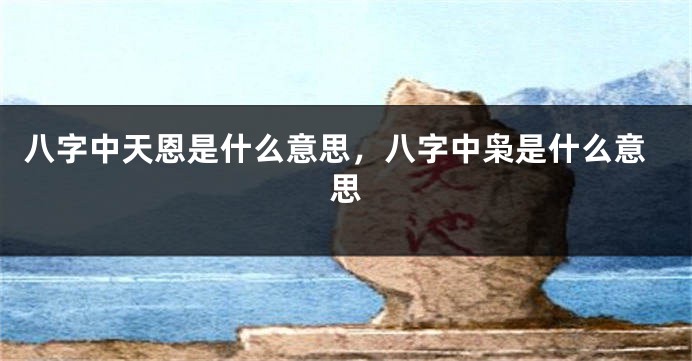八字中天恩是什么意思，八字中枭是什么意思