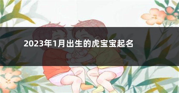 2023年1月出生的虎宝宝起名