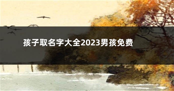 孩子取名字大全2023男孩免费