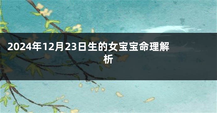 2024年12月23日生的女宝宝命理解析