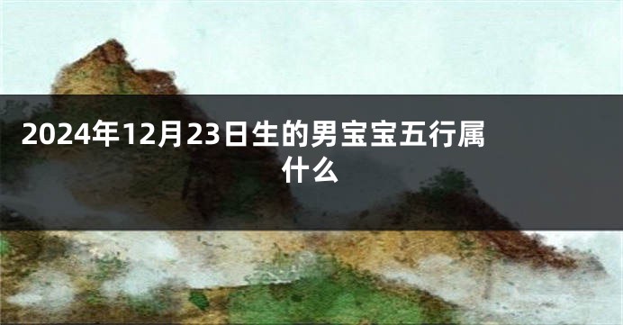 2024年12月23日生的男宝宝五行属什么