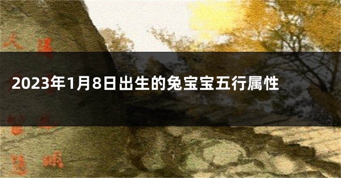 2023年1月8日出生的兔宝宝五行属性