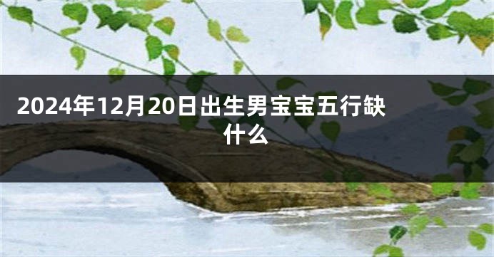 2024年12月20日出生男宝宝五行缺什么