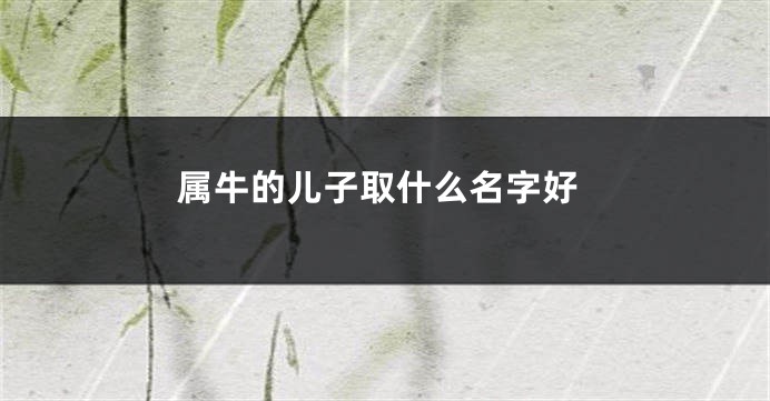 属牛的儿子取什么名字好