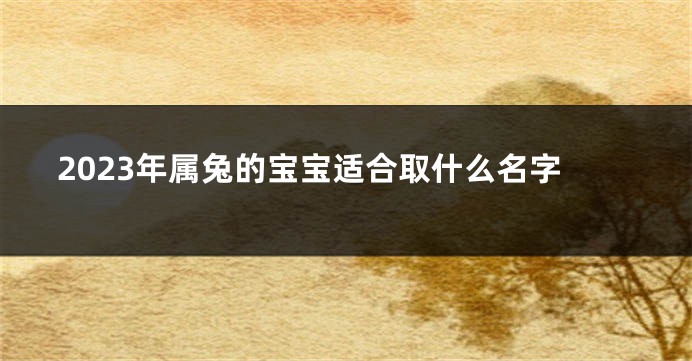 2023年属兔的宝宝适合取什么名字