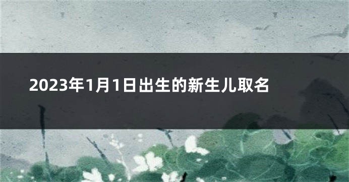 2023年1月1日出生的新生儿取名