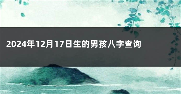 2024年12月17日生的男孩八字查询