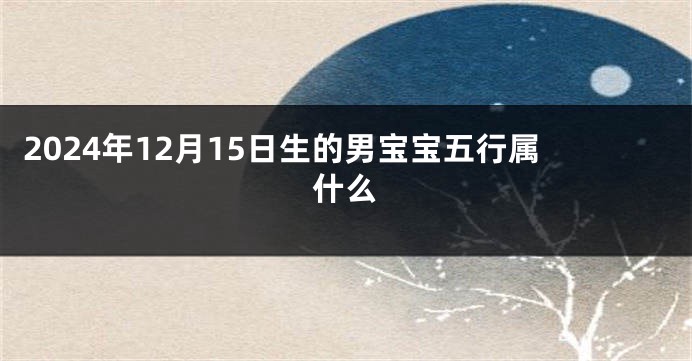 2024年12月15日生的男宝宝五行属什么