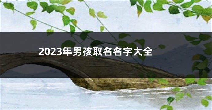 2023年男孩取名名字大全