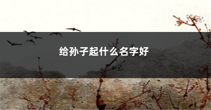 给孙子起什么名字好