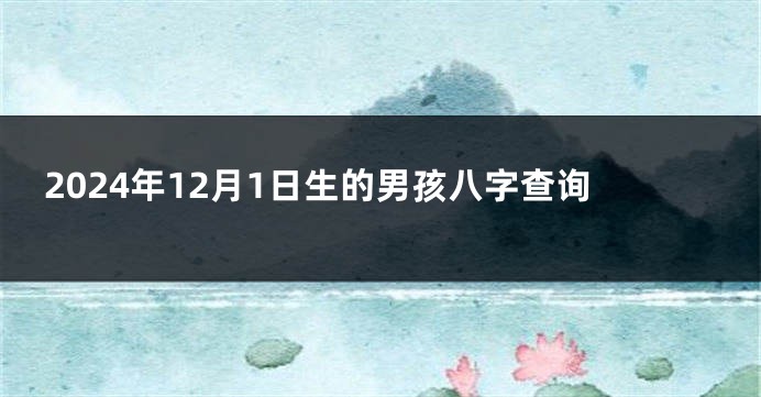 2024年12月1日生的男孩八字查询