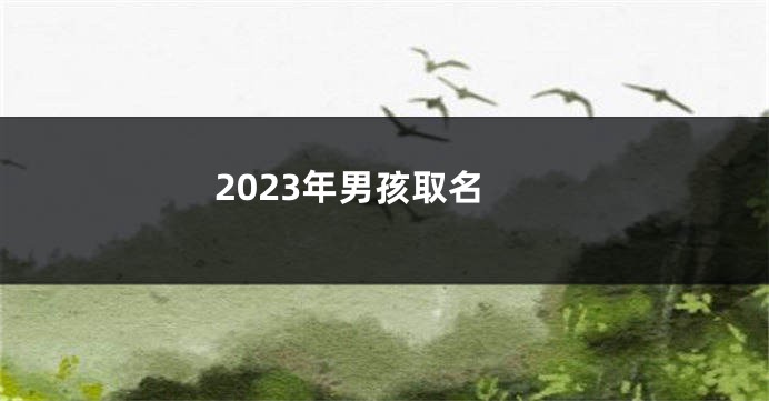 2023年男孩取名