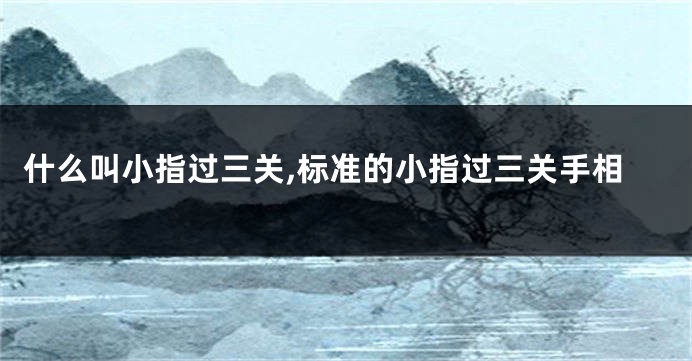 什么叫小指过三关,标准的小指过三关手相