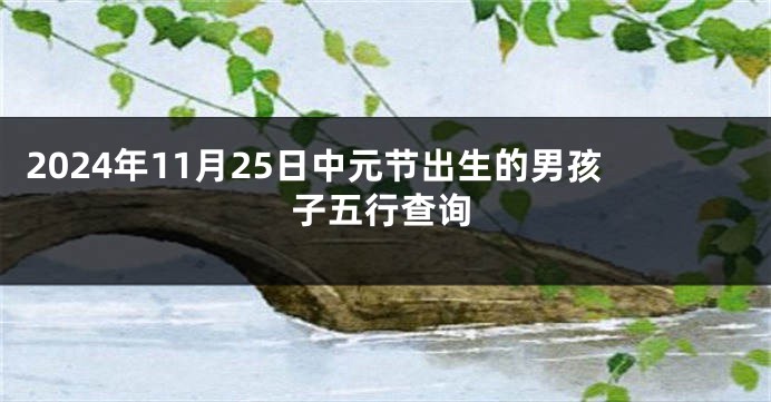 2024年11月25日中元节出生的男孩子五行查询