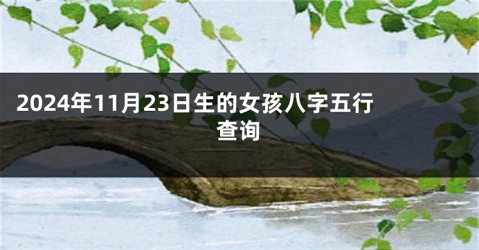 2024年11月23日生的女孩八字五行查询