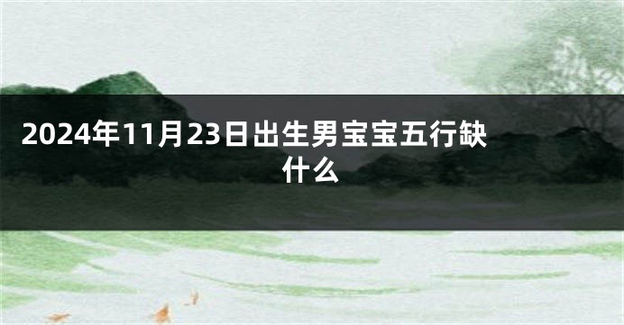 2024年11月23日出生男宝宝五行缺什么