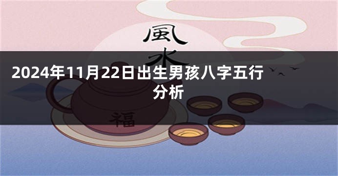 2024年11月22日出生男孩八字五行分析