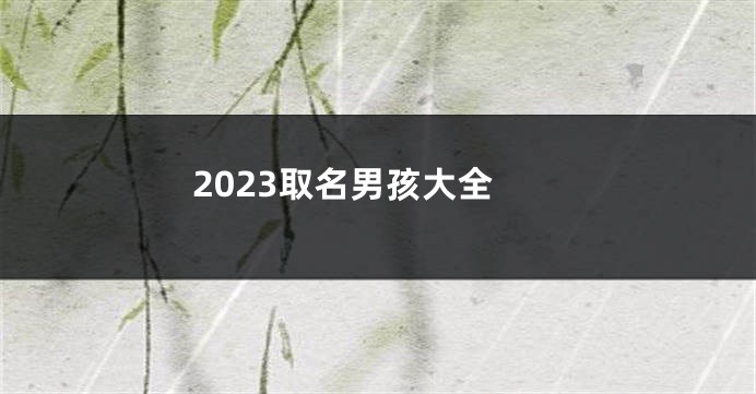 2023取名男孩大全