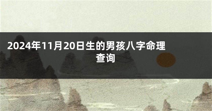 2024年11月20日生的男孩八字命理查询