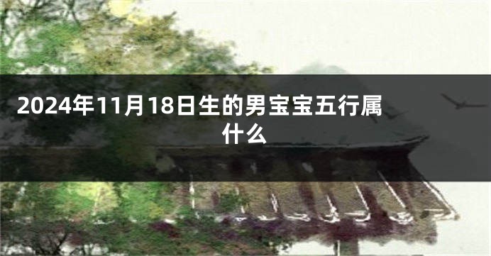 2024年11月18日生的男宝宝五行属什么