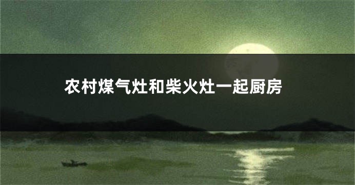 农村煤气灶和柴火灶一起厨房