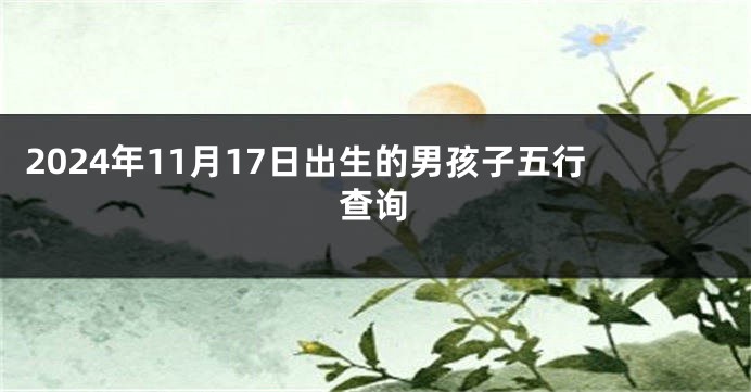 2024年11月17日出生的男孩子五行查询