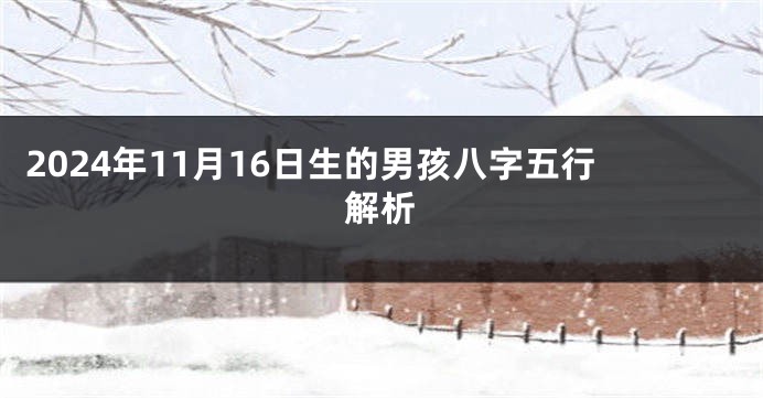 2024年11月16日生的男孩八字五行解析