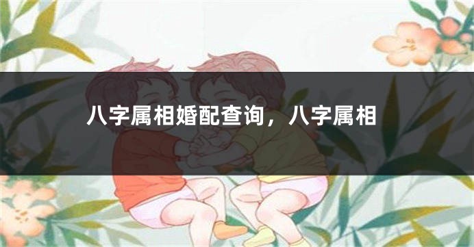 八字属相婚配查询，八字属相