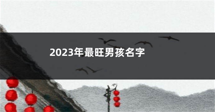 2023年最旺男孩名字