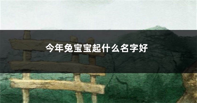 今年兔宝宝起什么名字好