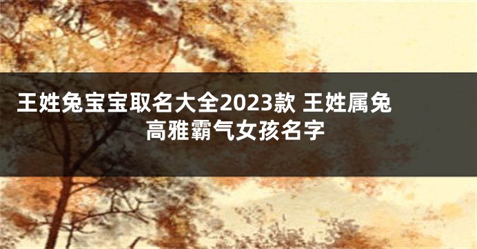 王姓兔宝宝取名大全2023款 王姓属兔高雅霸气女孩名字